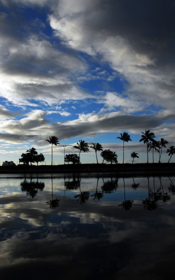early morning in the beach