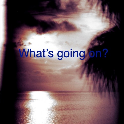 薄暗い水面に映る夜明けの光とパームツリー