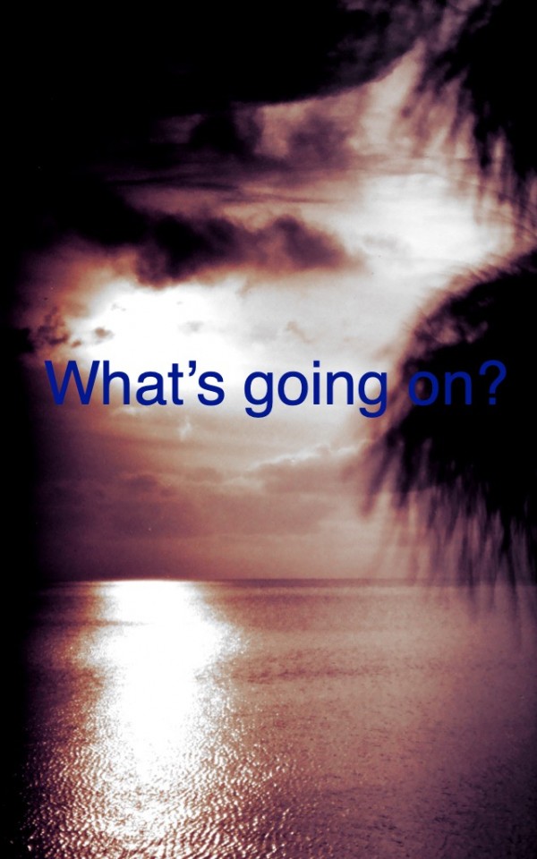 薄暗い水面に映る夜明けの光とパームツリー