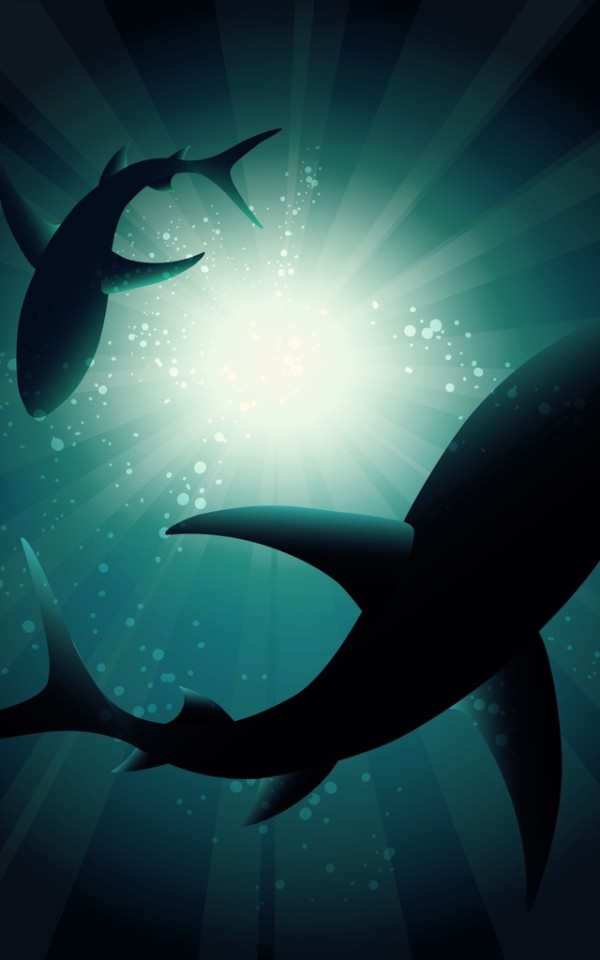 Designed by Freepik.com(@macrovector)