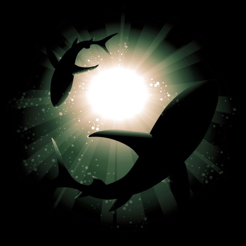 Designed by Freepik.com(@macrovector)